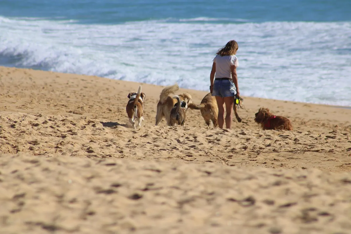 How to Join a Beach Clean in the UK: A Step-by-Step Guide for First-Timers